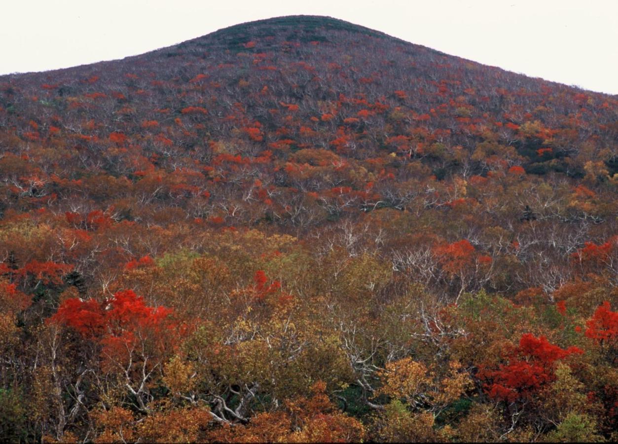 Ny Building 4Th Floor, Guest House Ichibangai, Roo / Vacation Stay 55905 Китами Экстерьер фото